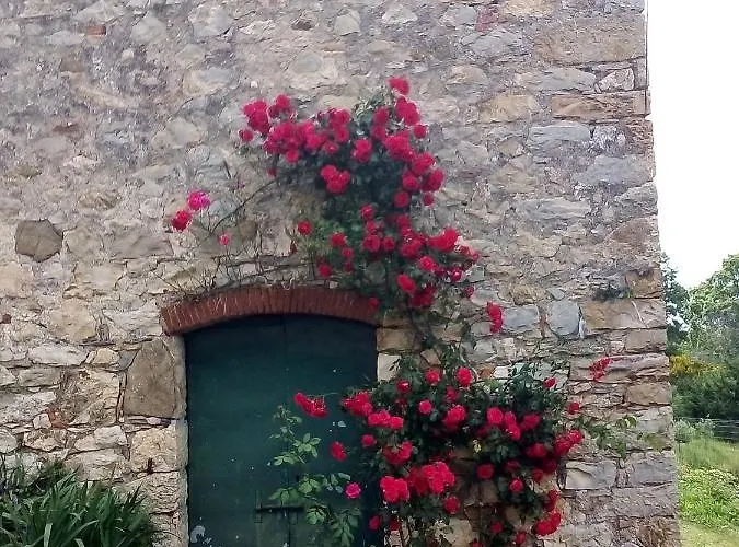 Magrignano Montieri